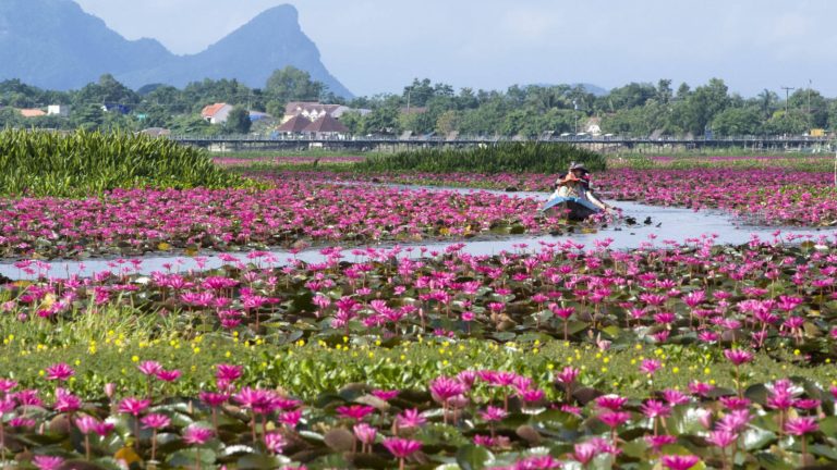 12 transformational travel ideas for Thailand